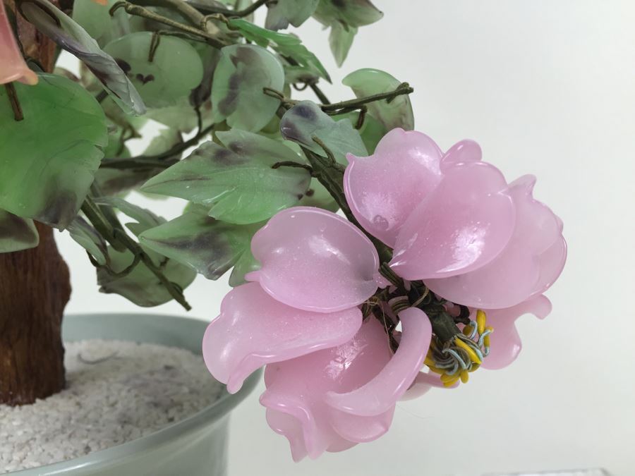 Large Jade Plant With Pot [Photo 2]