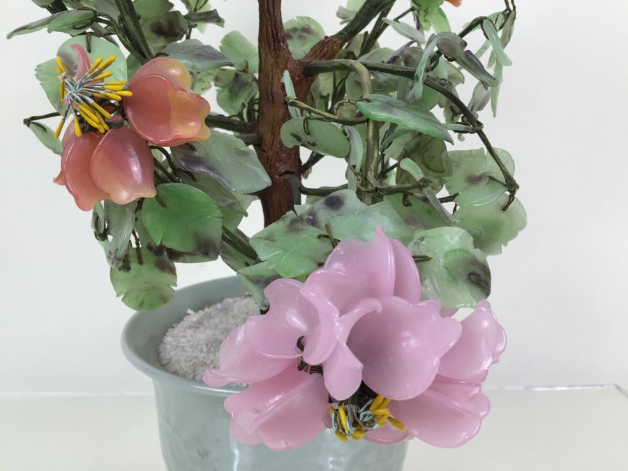 Large Jade Plant With Pot [Photo 12]