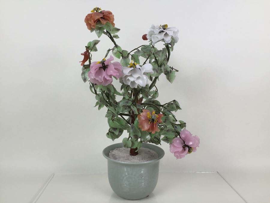 Large Jade Plant With Pot [Photo 4]