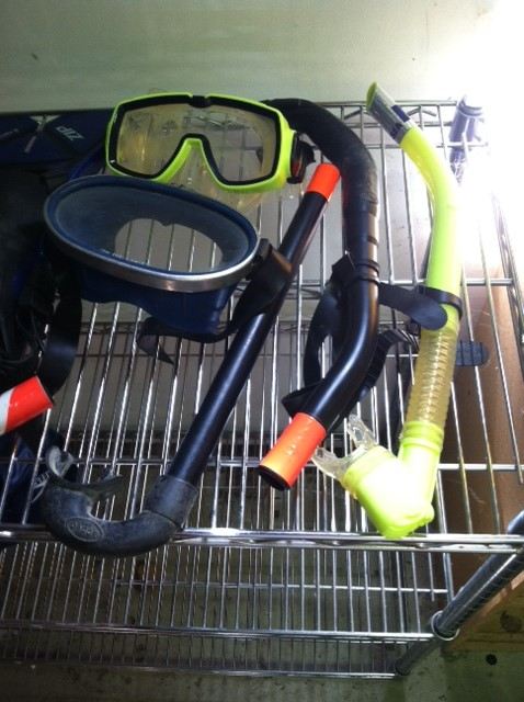 Snorkerling Lot [Photo 4]