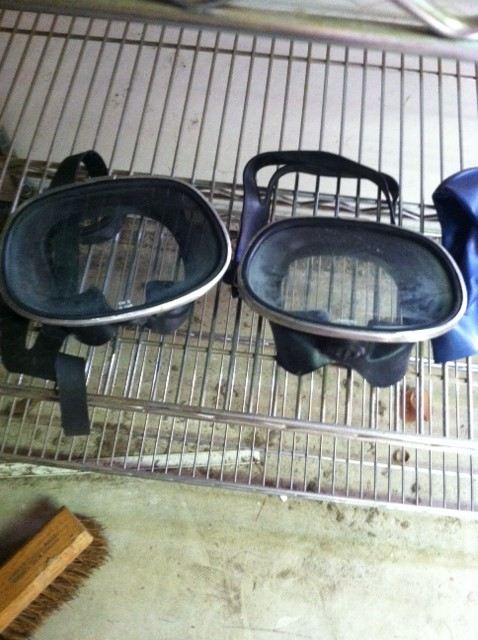 Snorkerling Lot [Photo 6]