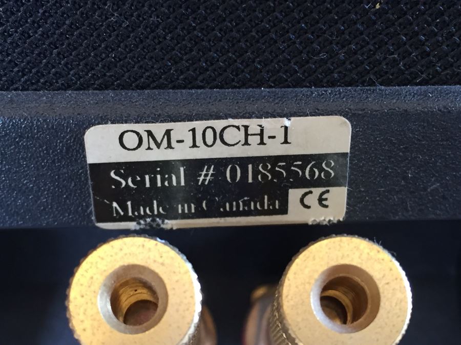 Pair Of MIRAGE Omnipolar OM-10 Floor Standing Speakers Audiophile Excellent Condition [Photo 11]