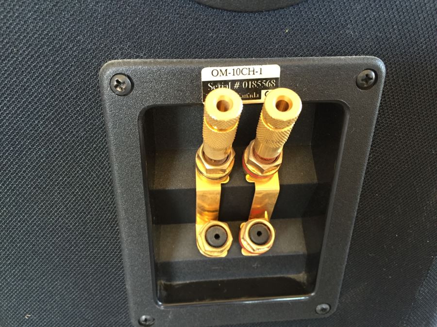 Pair Of MIRAGE Omnipolar OM-10 Floor Standing Speakers Audiophile Excellent Condition [Photo 3]