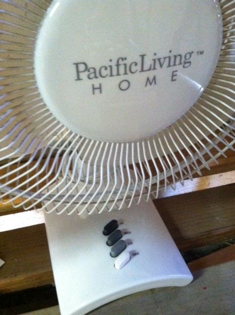 Pair of Fans [Photo 3]