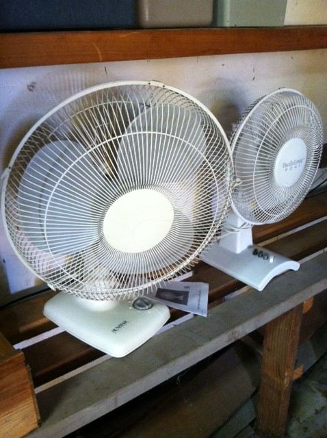 Pair of Fans [Photo 1]