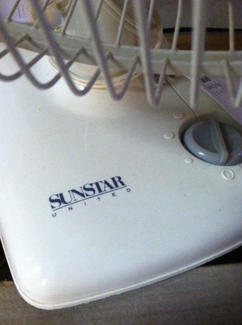 Pair of Fans [Photo 2]