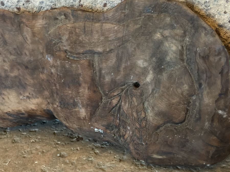 Driftwood With Native American Figure Carving [Photo 7]