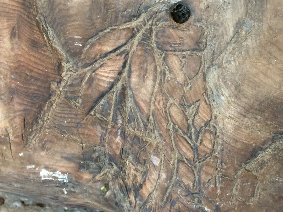 Driftwood With Native American Figure Carving [Photo 4]