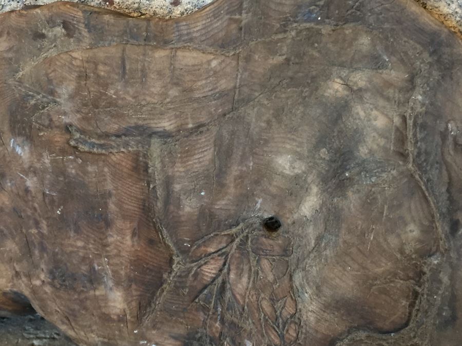 Driftwood With Native American Figure Carving [Photo 6]