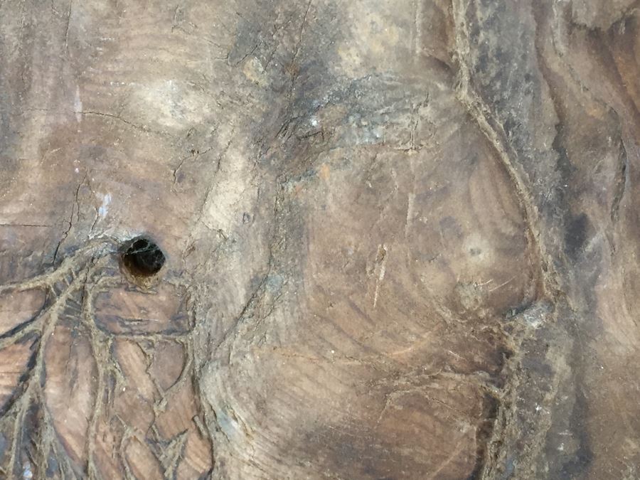 Driftwood With Native American Figure Carving [Photo 5]