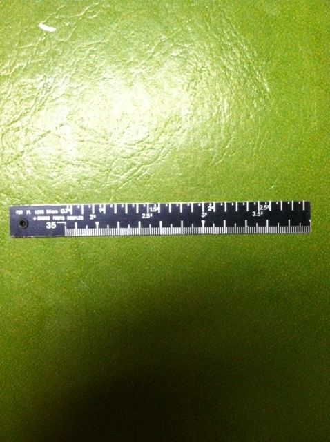 Cannon Bellows FL for Macro Photography [Photo 6]