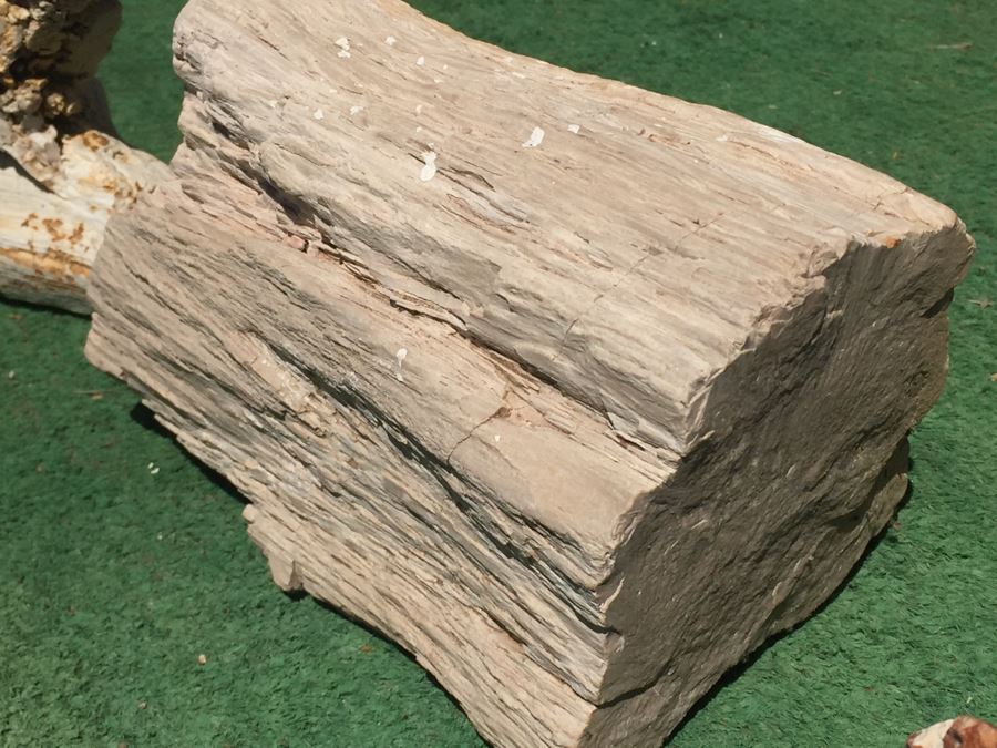 Collection Of Petrified Wood And Small Geode [Photo 9]