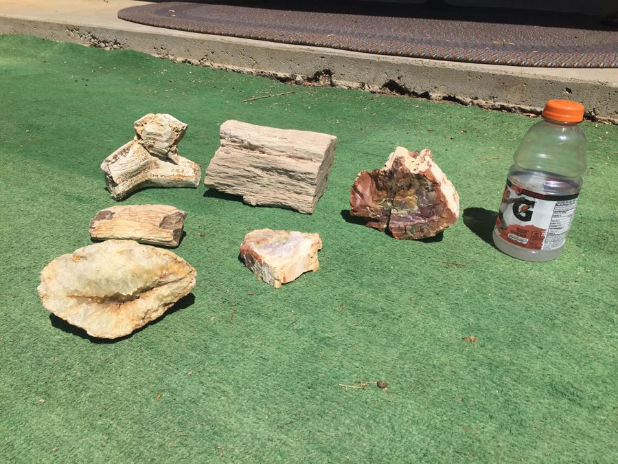 Collection Of Petrified Wood And Small Geode [Photo 1]
