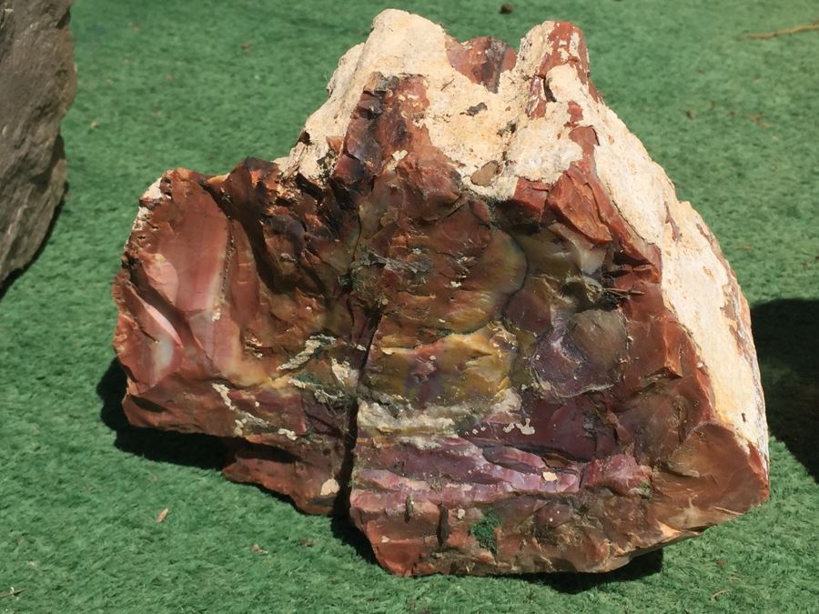 Collection Of Petrified Wood And Small Geode [Photo 7]