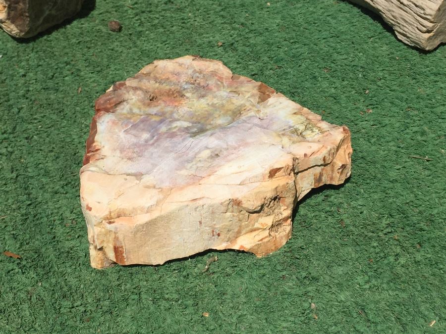 Collection Of Petrified Wood And Small Geode [Photo 8]