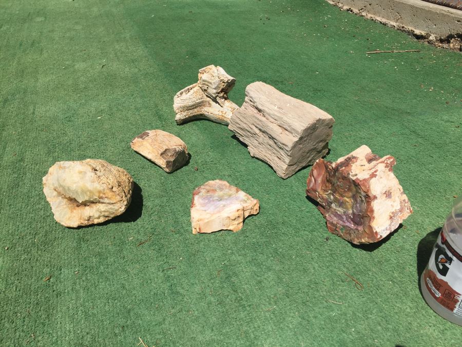 Collection Of Petrified Wood And Small Geode [Photo 12]