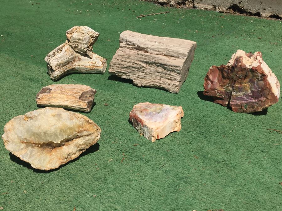 Collection Of Petrified Wood And Small Geode [Photo 2]