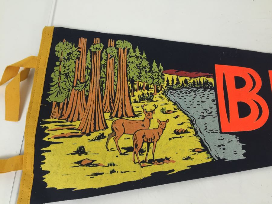 Vintage Bishop California Pennant [Photo 2]