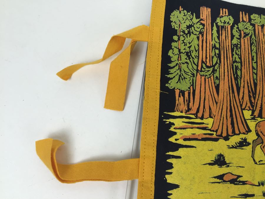 Vintage Bishop California Pennant [Photo 4]