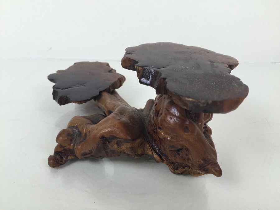 Burlwood Display Stand [Photo 3]