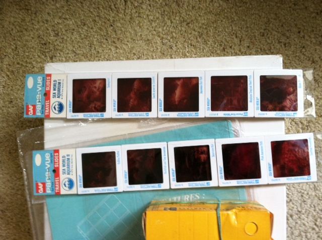 Huge Slide Lot from Travels Around the World [Photo 8]