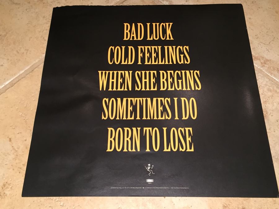 Record Store Promo Poster Social Distortion Somewhere Between Heaven And Hell 1993 Epic Records Double Sided [Photo 3]