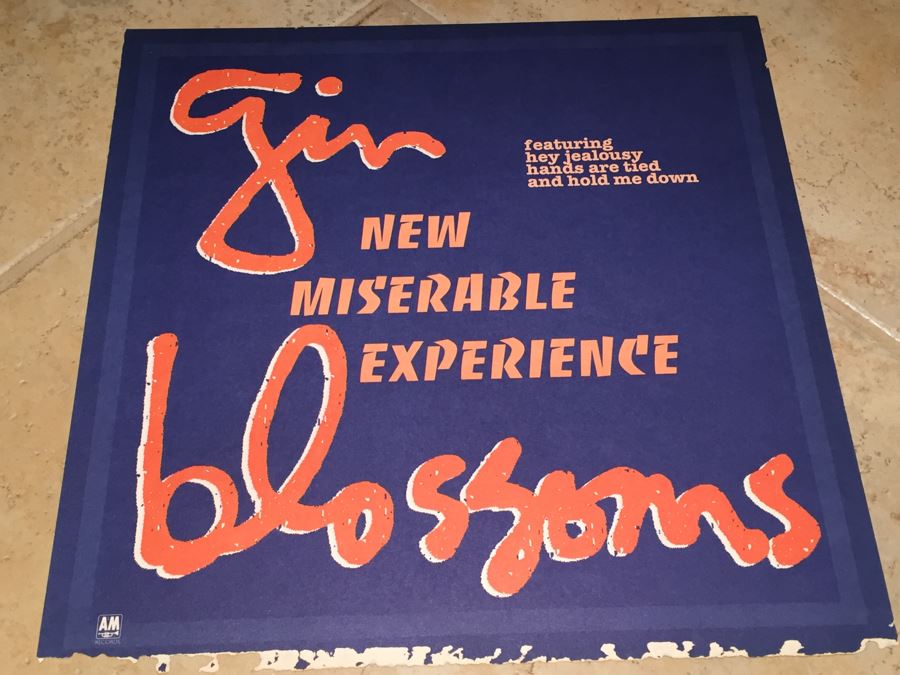 Record Store Promo Poster Gin Blossoms New Miserable Experience Double Sided [Photo 2]