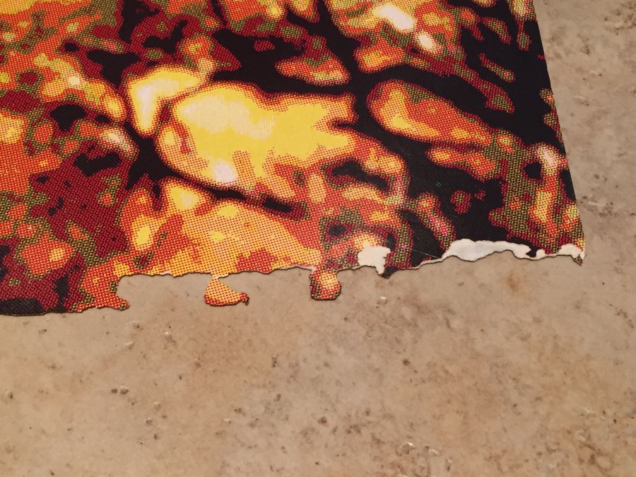 Record Store Promo Poster Gin Blossoms New Miserable Experience Double Sided [Photo 4]