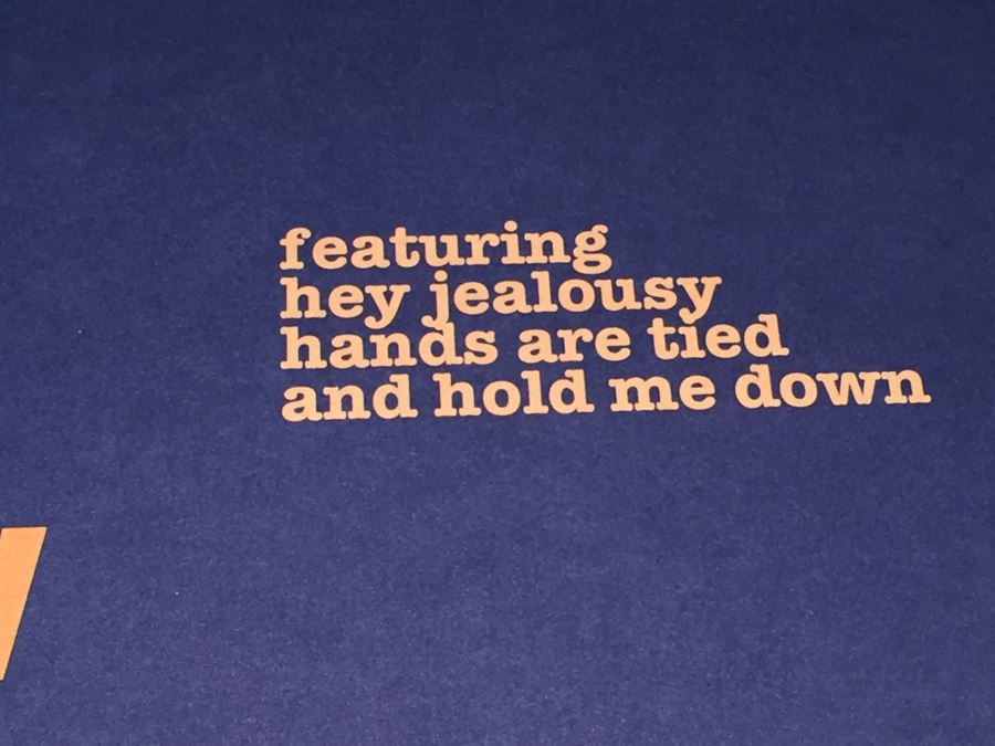 Record Store Promo Poster Gin Blossoms New Miserable Experience Double Sided [Photo 3]