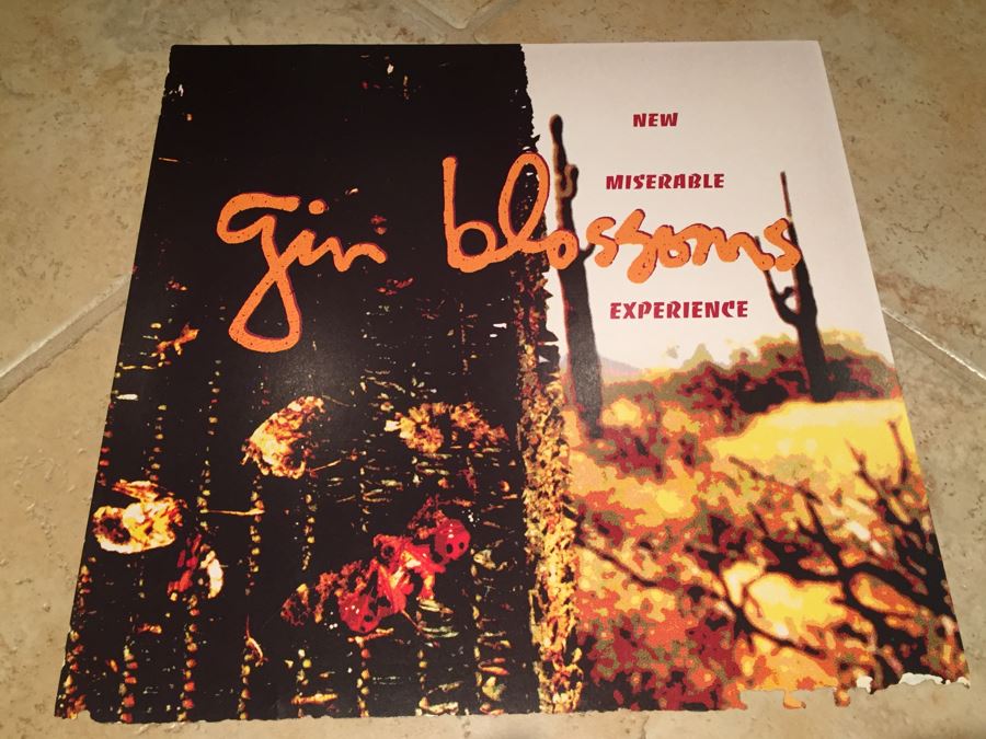 Record Store Promo Poster Gin Blossoms New Miserable Experience Double Sided [Photo 1]