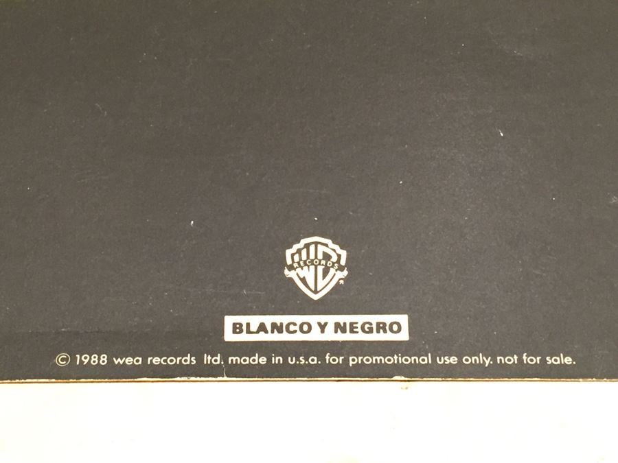 Record Store Promo Poster The Jesus And Mary Chain Barbed Wire Kisses 1988 WEA Records Double Sided [Photo 3]