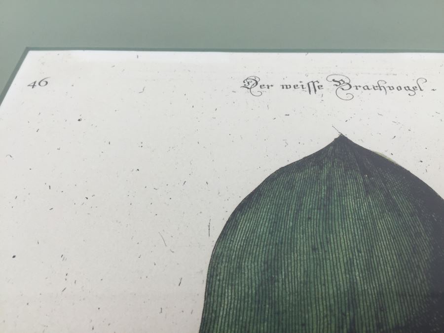 Nice Set Of Four Framed Bird Prints [Photo 25]