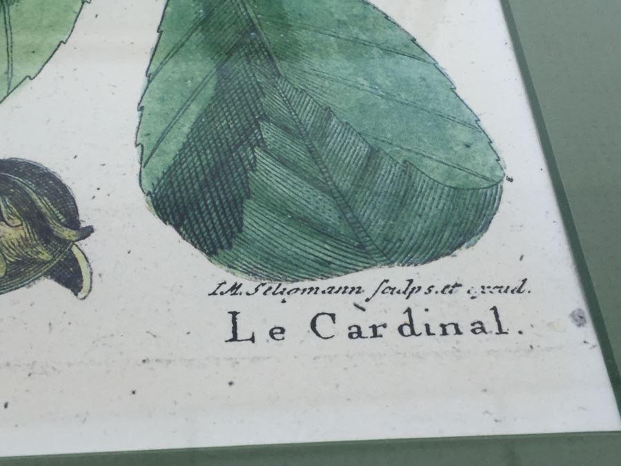 Nice Set Of Four Framed Bird Prints [Photo 9]