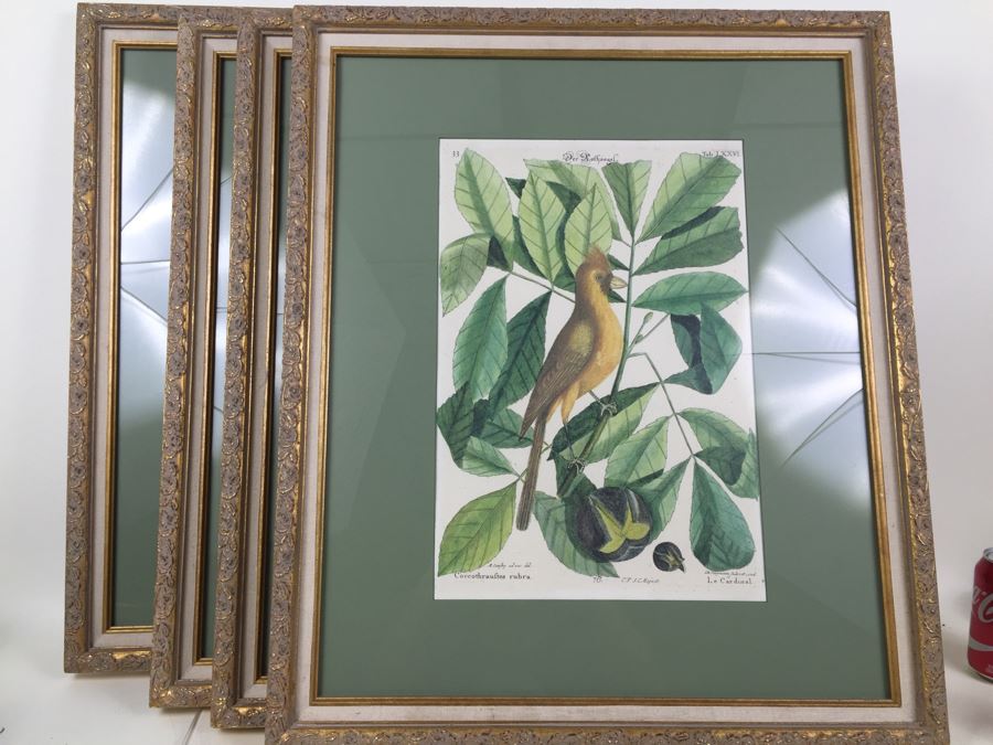 Nice Set Of Four Framed Bird Prints