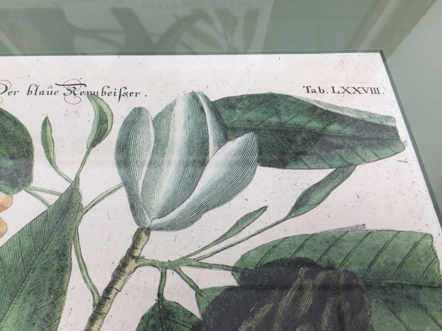 Nice Set Of Four Framed Bird Prints [Photo 11]