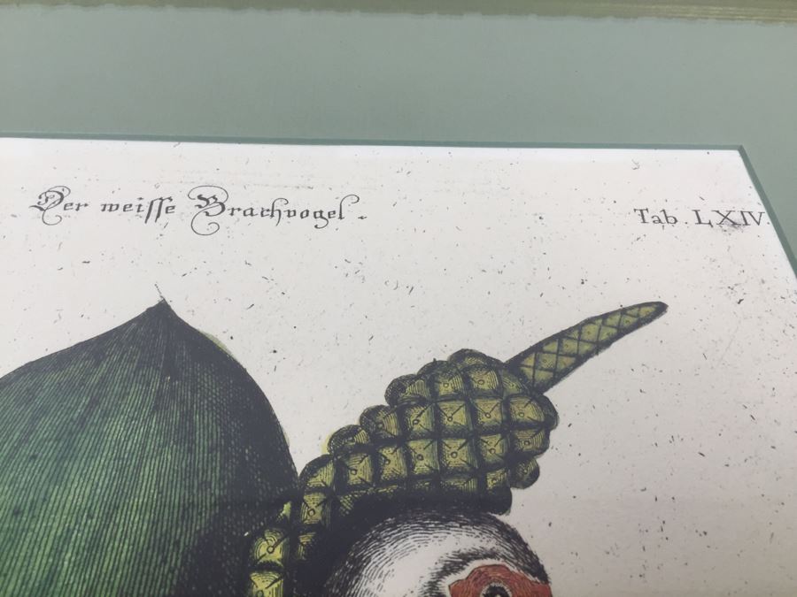 Nice Set Of Four Framed Bird Prints [Photo 26]