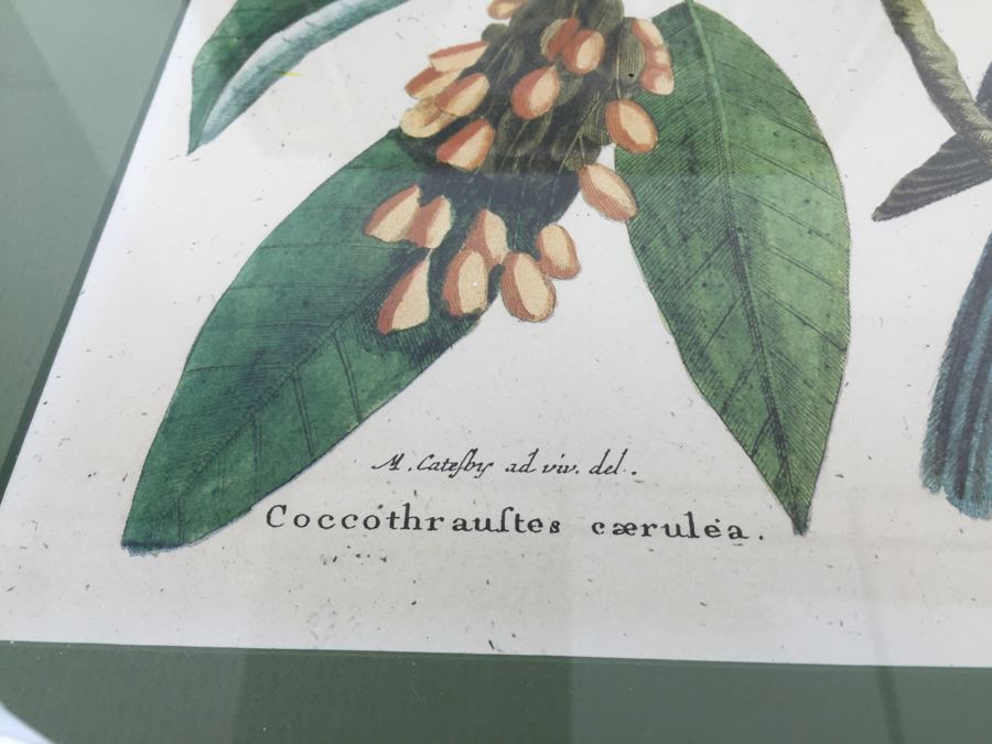 Nice Set Of Four Framed Bird Prints [Photo 16]