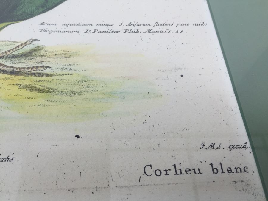 Nice Set Of Four Framed Bird Prints [Photo 29]