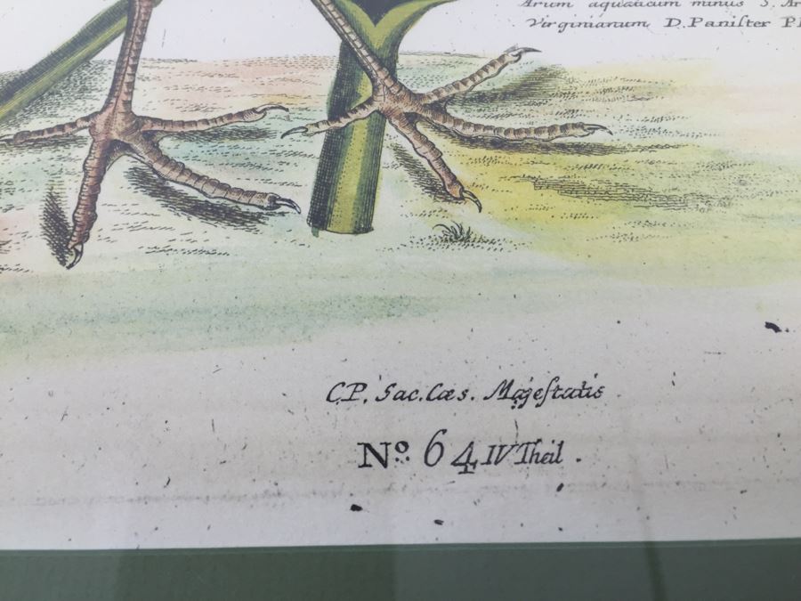 Nice Set Of Four Framed Bird Prints [Photo 30]