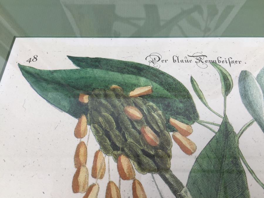 Nice Set Of Four Framed Bird Prints [Photo 10]