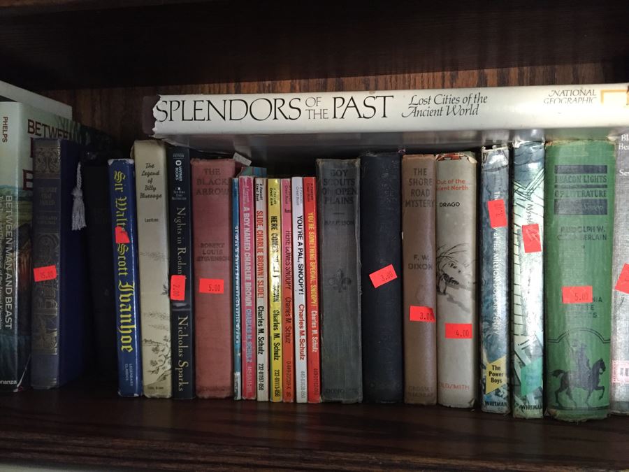 HUGE Book Lot # 5 (See All Photos) [Photo 3]