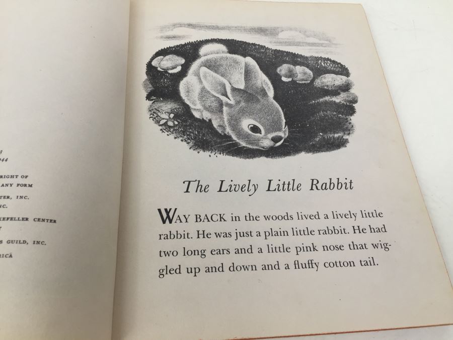 A Little Golden Book 'The Lively Little Rabbit' 1944 [Photo 5]