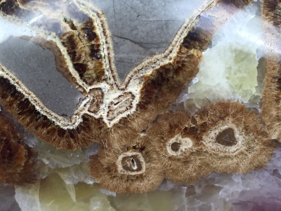 Hand Carved Stone Bear [Photo 6]