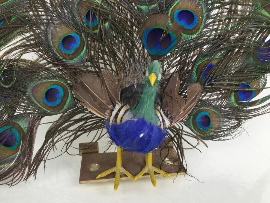 Peacock Statue Feather Sculpture