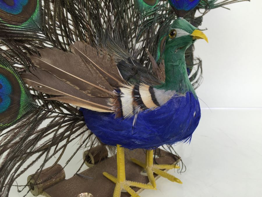 Peacock Statue Feather Sculpture