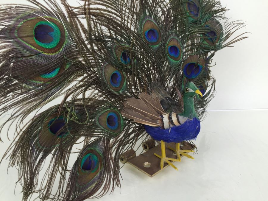 Peacock Statue Feather Sculpture