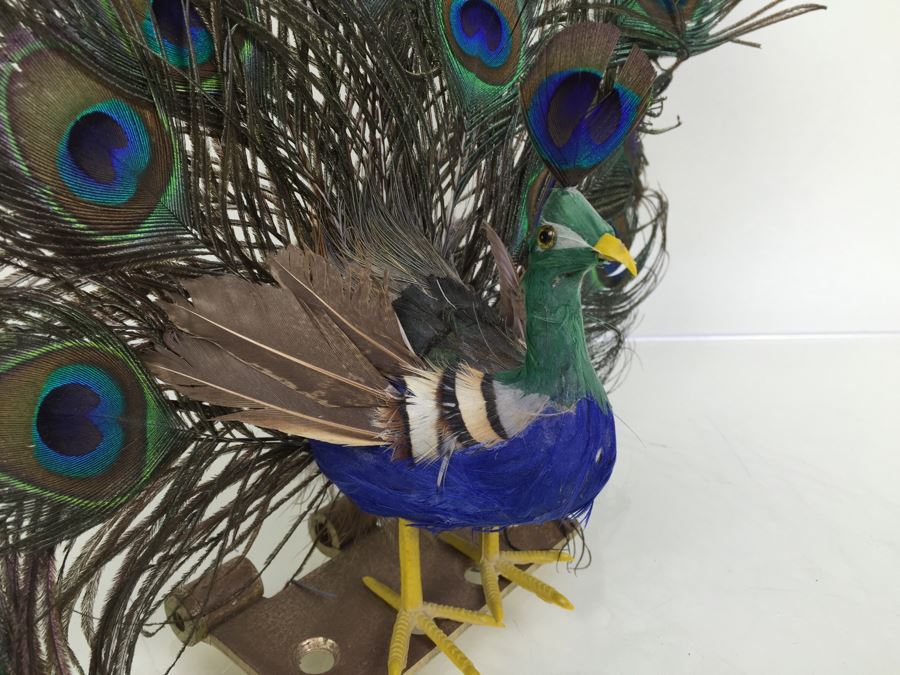 Peacock Statue Feather Sculpture