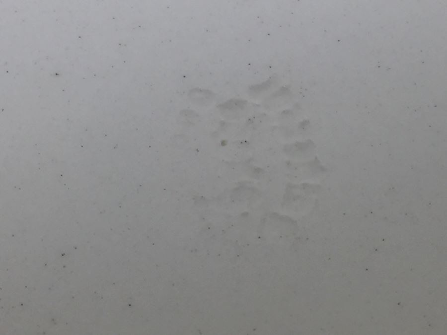 (12) Spode's Tower Copeland England Red Transferware Bowls [Photo 12]