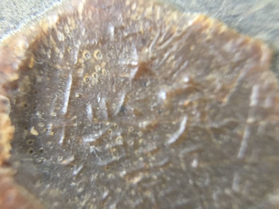 Vintage Signed Chinese Carved Wood Gold & Red Painted Panel [Photo 24]