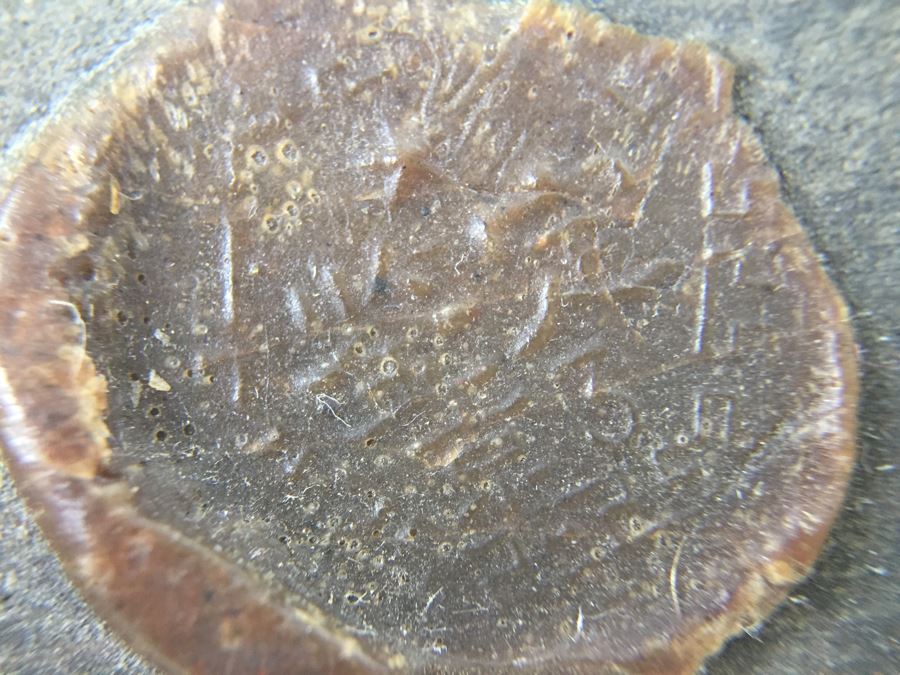 Vintage Signed Chinese Carved Wood Gold & Red Painted Panel [Photo 23]